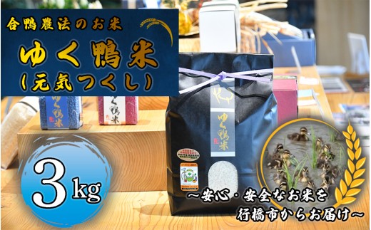 CB-007_合鴨農法のお米「ゆく鴨米」（元気つくし）3ｋｇ～安心･安全なお米を行橋市からお届け