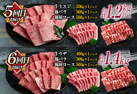 数量限定 6か月 お楽しみ 定期便 宮崎牛 モモ バラ 肩ロース ロース ミスジ ウデ 豚肉 豚バラ 焼肉 食べ比べ セット 総重量8kg以上 肉 牛 豚 国産 宮崎県産 食品 送料無料_M21-23