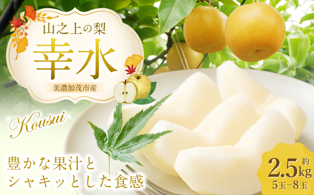 
            《先行予約》 「山之上果実農業協同組合」 山之上の梨 幸水 1箱 約 2.5kg 5-8玉 梨 なし ナシ フルーツ 果物 旬  【2026年8月上旬-8月下旬 発送予定】
          