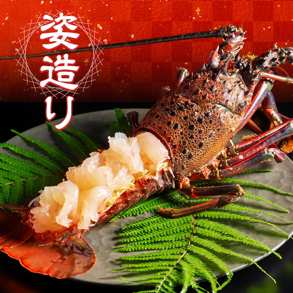活き伊勢海老 Cコース 5〜6尾 約1400〜1500g 山金商店 伊勢えび エビ 海老 鮮魚 焼き物 汁物 海鮮 特産 海の幸 魚介 イセエビ 三重県 南伊勢町 伊勢志摩産 伊勢志摩産	