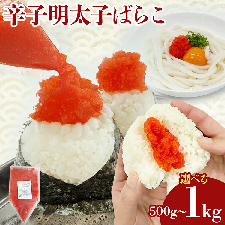【ふるさと納税】明太子 辛子明太子ばらこ業務用パウチ 選べる 500g 1kg（500g×2袋） バラコ 福岡 博多 鮮鼓堂 めんたいこ 冷凍 時短 便利 使いやすい ご飯のお供 パスタ おにぎり お取り寄せ グルメ ギフト 業務用 具材