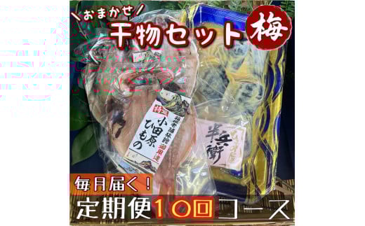【毎月定期便10回】厳選！小田原の旬の干物セット 梅【 まぐろや 神奈川県小田原市 】