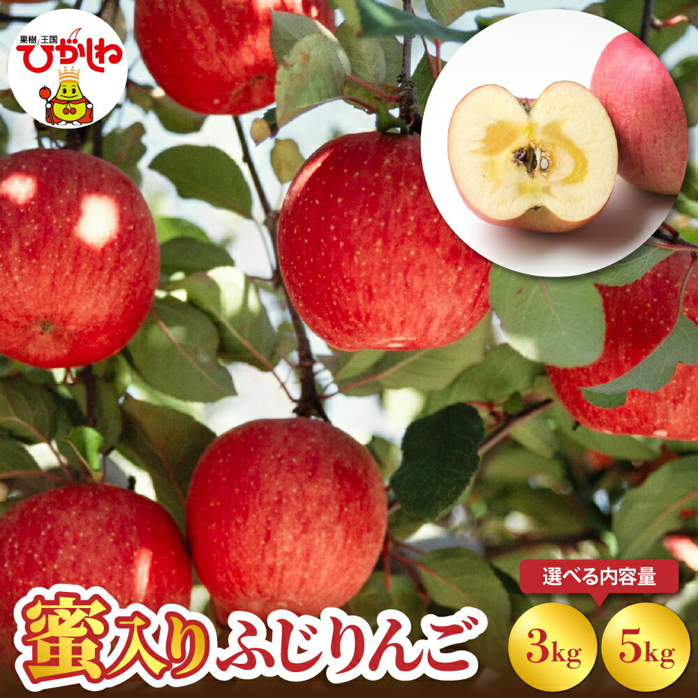 【ふるさと納税】 りんご 蜜入り ふじりんご ( 選べる内容量 : 3kg / 5kg )/ 林檎 アップル フルーツ 果物 くだもの 先行予約 大容量 秋 旬 常温保存 期間限定 送料無料 山形県 東根市