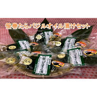 【ふるさと納税】新鮮生たら使用！笹巻たらバジルオイル漬セット
