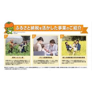 【返礼品なし】和歌山県橋本市への応援寄附金(1,000円分)