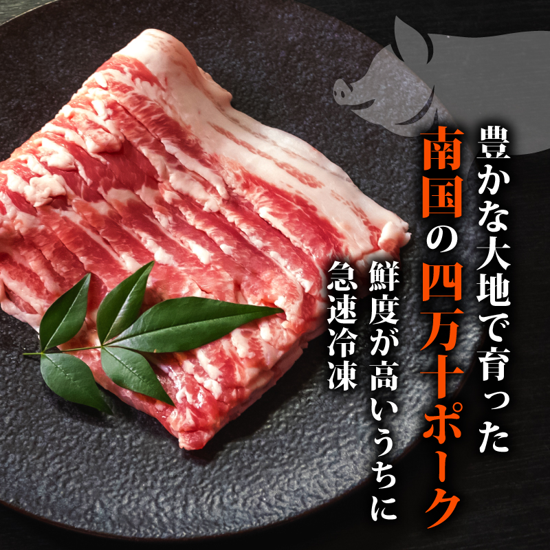 【定期便6回】四万十ポークスライス 計3.6kg（600g×6ヶ月連続お届け) Zコース | 豚肉 豚バラ肉 小分け 小間切れ スライス 切り落とし 冷凍 真空パック 簡単調理 細切れ 大容量 肉 高
