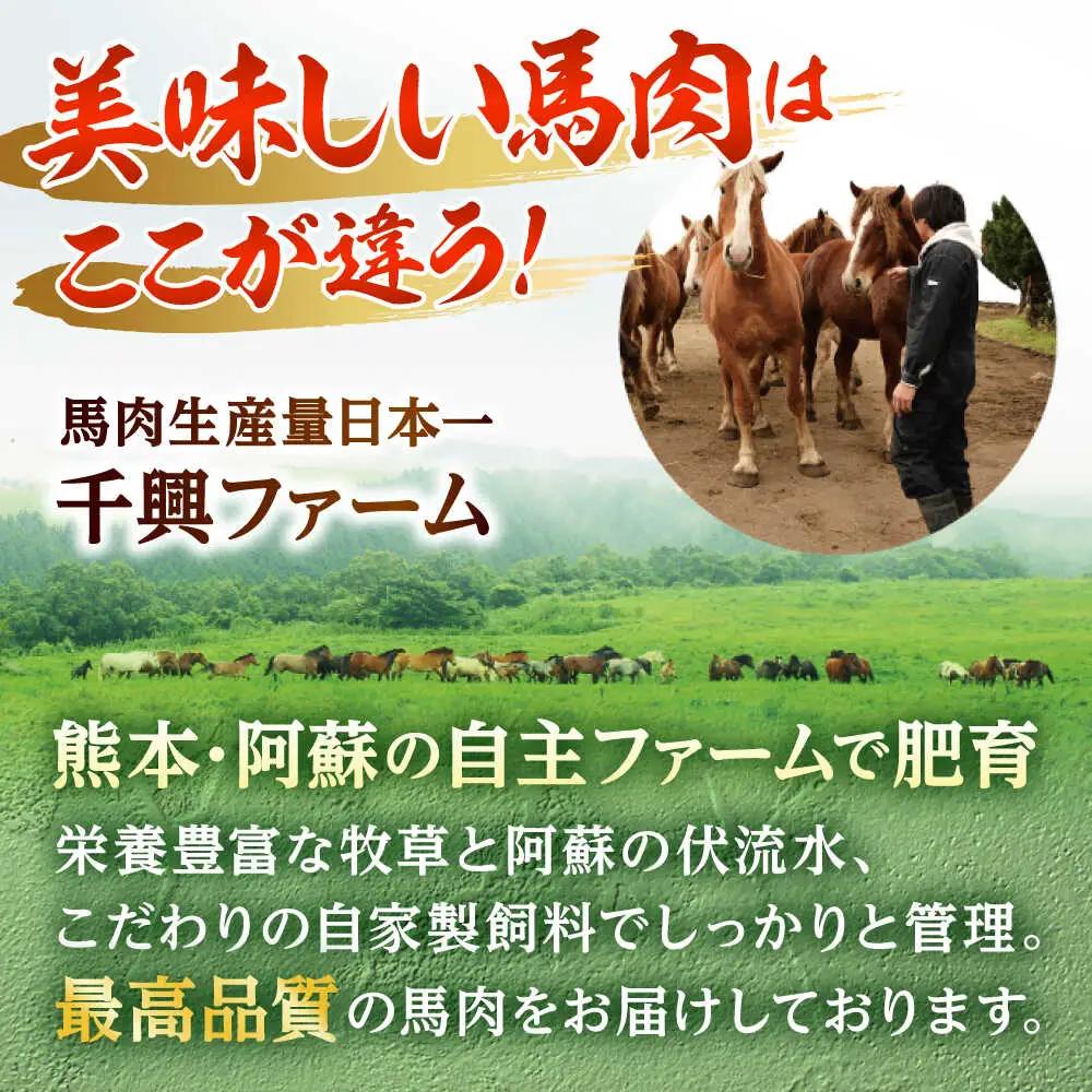 国産馬刺し 赤身馬刺し 約400g[AYAF034]