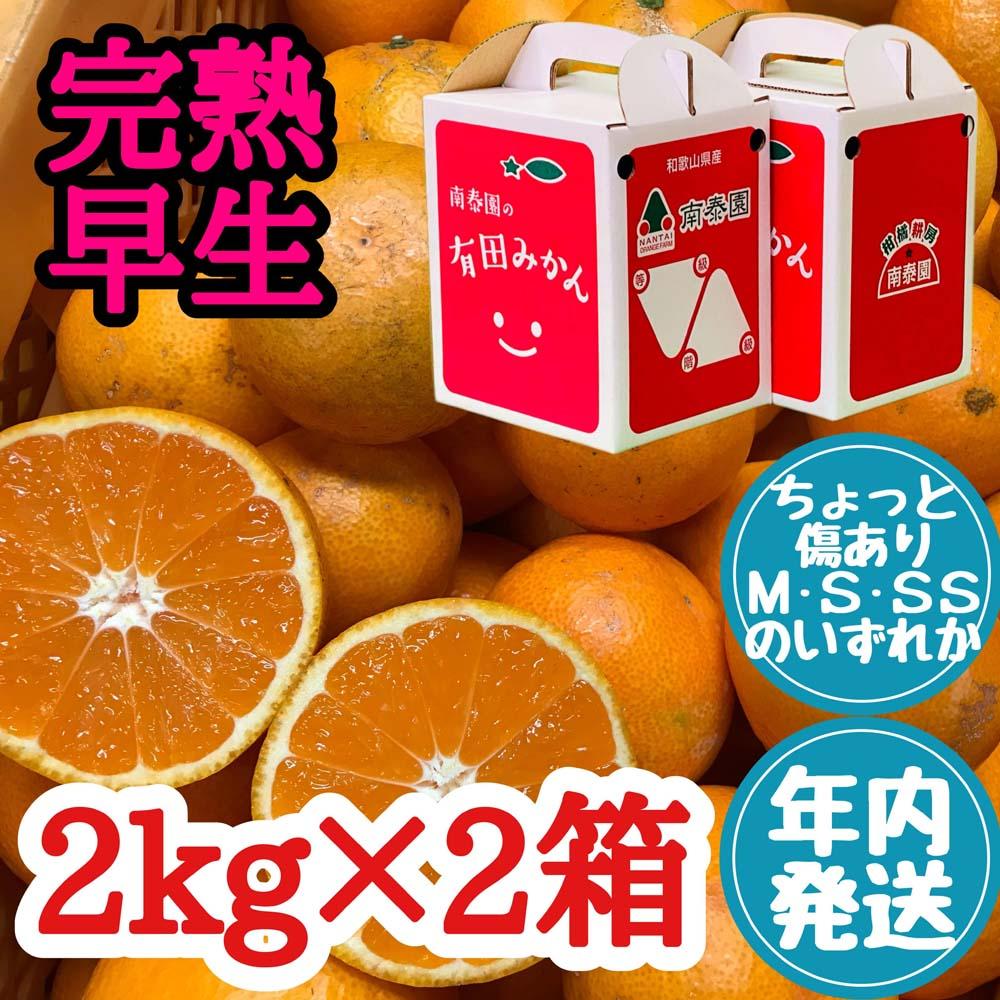 年内発送 ちょっと傷あり 完熟早生 有田みかん M～SS サイズ 2kg × 2箱 手さげ箱 和歌山 南泰園