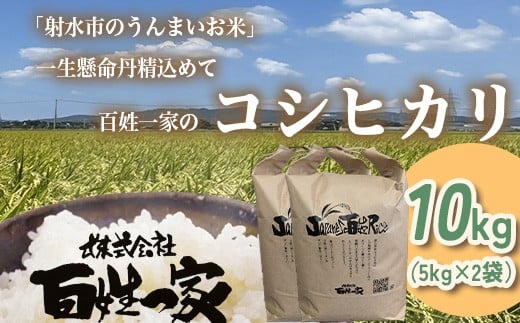 
                  【射水市】【射水の美味しいお米】百姓一家のコシヒカリ 10kg（5kg×2）【精米】｜米 こめ コメ こしひかり 白米 ブランド米 銘柄米 人気 ランキング 富山 富山米 北陸 北陸米 富山コシヒカリ 北陸コシヒカリ 精米コシヒカリ 10キロ 10キロ米 10kg 10kg米 ※離島への配慮不可
                