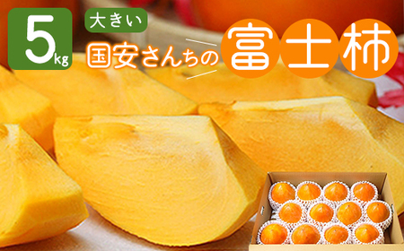 《八幡浜特産 国内最大級の 柿》 富士柿 5kg 種無し【D20-21】【1094600】