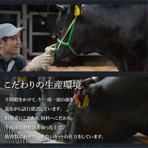【12月発送予約】【年内発送】近江牛 切り落とし 500g [CS009a] / 近江牛 切り落し 切りおとし 牛肉 お肉 肉 高級 三大和牛 国産牛 国産 小間肉 小間切れ 小間切れ肉 冷凍 滋賀県