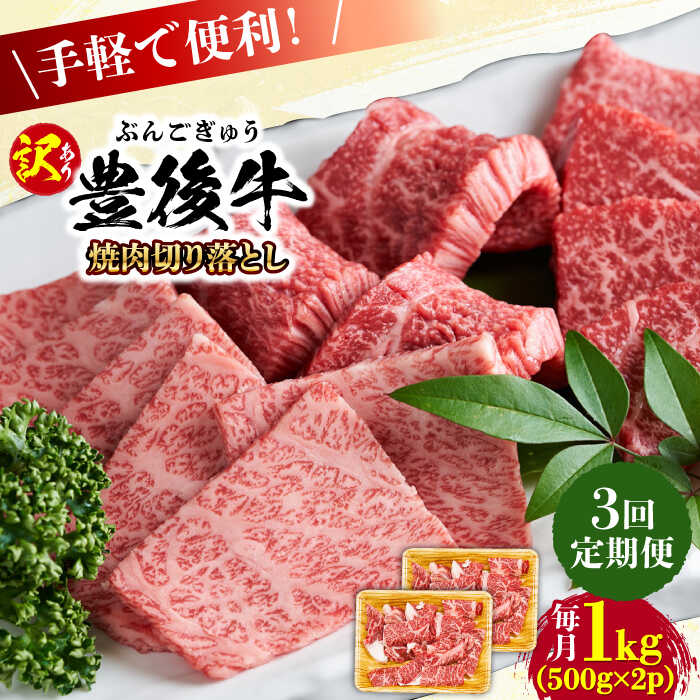 【ふるさと納税】【全3回定期便】【訳あり】おおいた豊後牛 焼肉 切り落とし 1kg(500g×2P) 日田市 / 株式会社MEAT PLUS 黒毛和牛 和牛 豊後牛 霜降り 小分け 切り落とし 焼肉 焼肉用[AREI134]