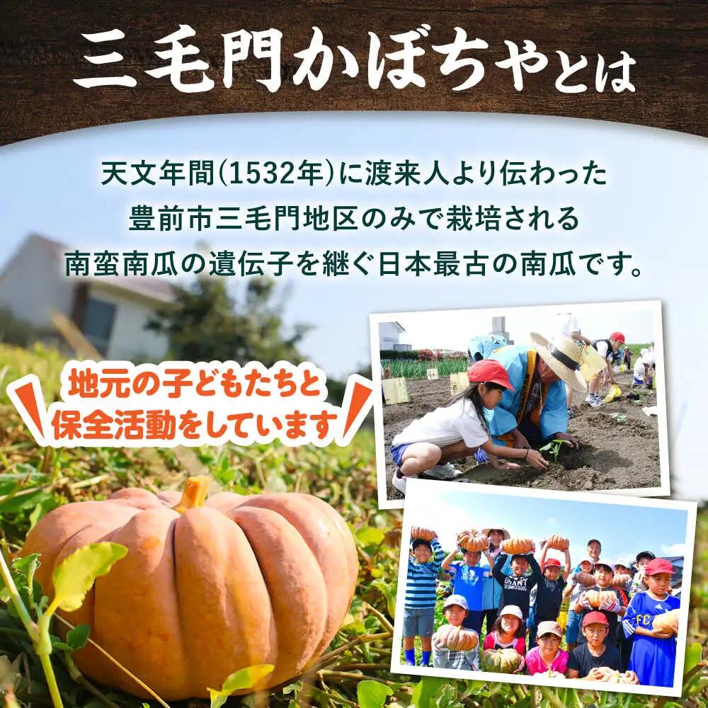 三毛門南瓜 焼酎 鎮盛 (しげもり) 1.8L 25度 本格焼酎 お酒 かぼちゃ [VDF002]