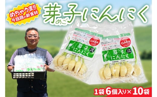 
                  話題の新食材！芽子にんにく 1箱（1袋6個入り×10） 芽も根もまるごと食べられる！【ニンニク ガーリック GABA ギャバ レーアミノ酪酸 臭わない スタミナ 話題 免疫 健康 元気 茨城県産 水戸市】（KJ-3）
                