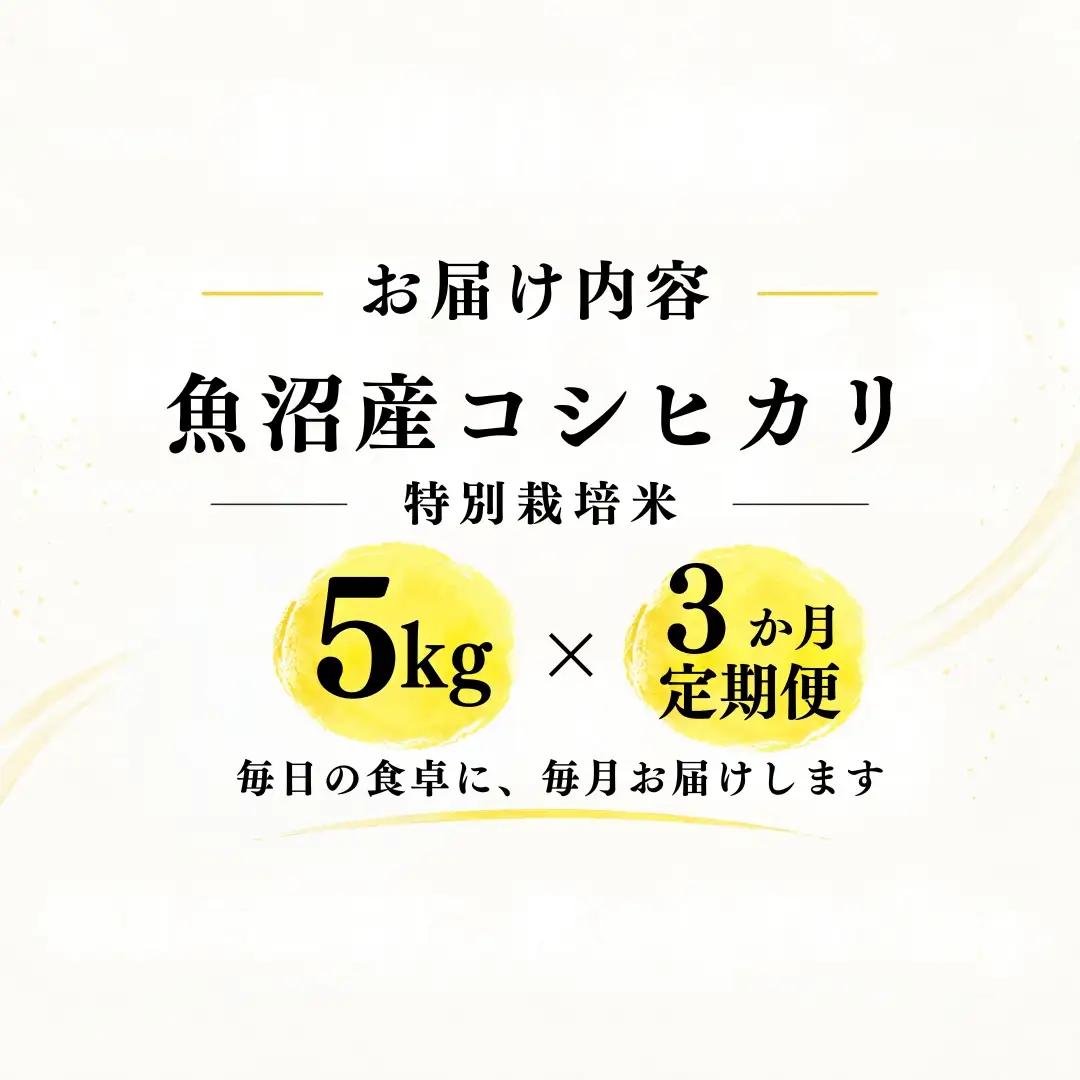 【3ヶ月定期便】【令和8年産 コシヒカリ】魚沼産コシヒカリ 特別栽培米 5kg(5kg×1袋) | 新潟県産コシヒカリ 魚沼産こしひかり 米 お米 こしひかり 白米 精米 ブランド米 津南町 米処やえ