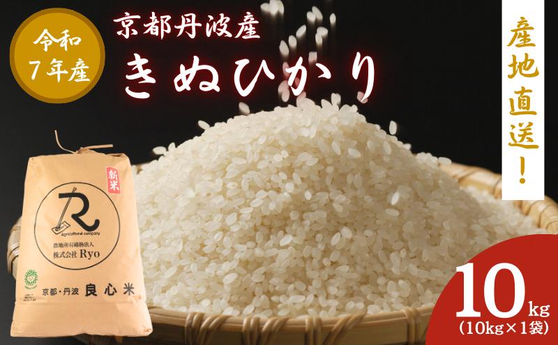 令和7年産 キヌヒカリ 10kg  京都丹波産 良心米 米 白米 ごはん