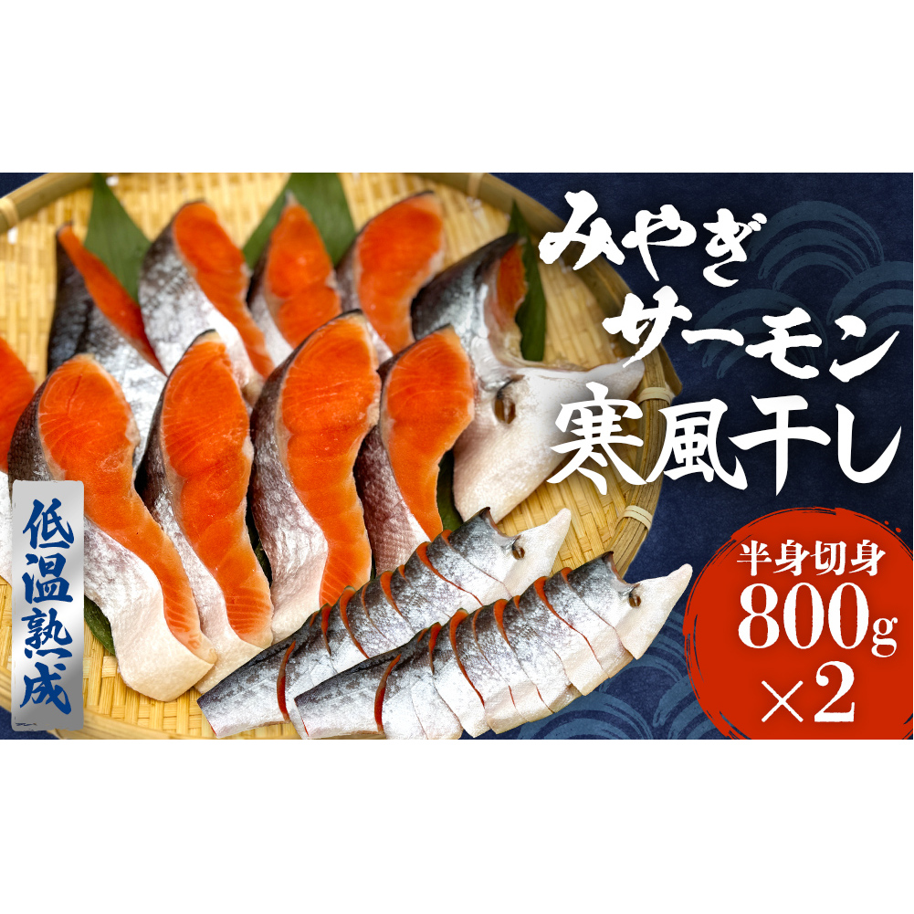 鮭 切り身 みやぎ サーモン 寒風干し 800g×2 宮城県産銀鮭 銀鮭 国産 さけ サケ シャケ 魚 切り身 冷凍 小分け 焼き魚 さかな 切身 おかず ご飯のお供 弁当 簡単調理 魚介 海鮮 熟成 高品質 高鮮度 低温熟成 宮城県 石巻 石巻市 送料無料