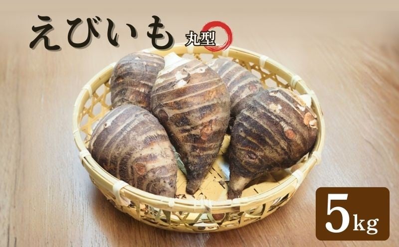 
            京都 えびいも 丸型 5kg 京野菜 伝統 野菜 12-30個入 お正月 京料理 いも おばんざい さといも 煮物 あんかけ 素焼き 椀だね
          