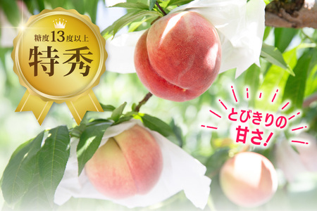 【ふるなびWEEK対象】 【2026年発送】 先行予約 桃 約3.5kg 共選品 山梨県産 [梨北農業協同組合 山梨県 韮崎市 20743029]