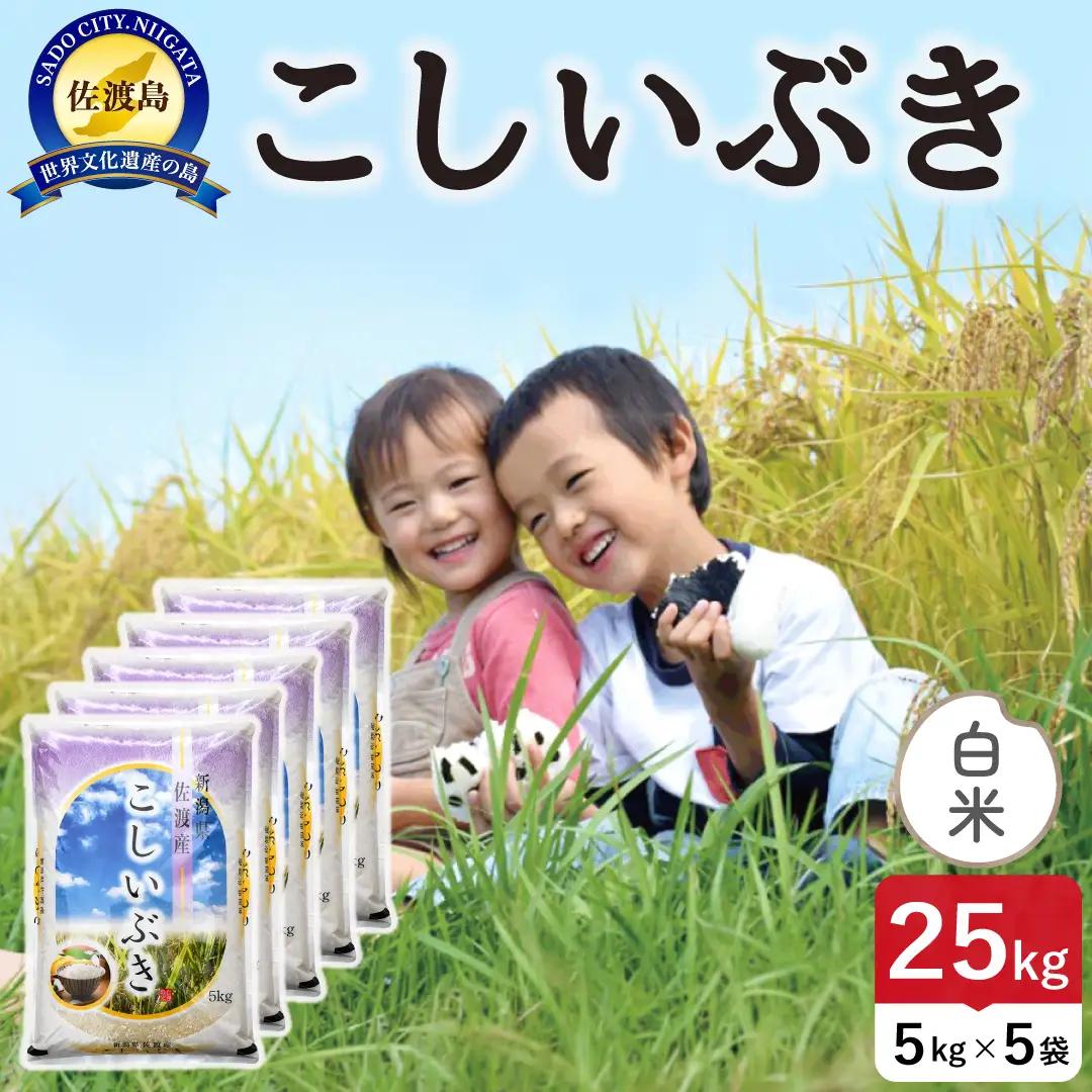 佐渡島産こしいぶき 白米 25kg 令和8年産 農薬5割減 土屋農園 195962-051702