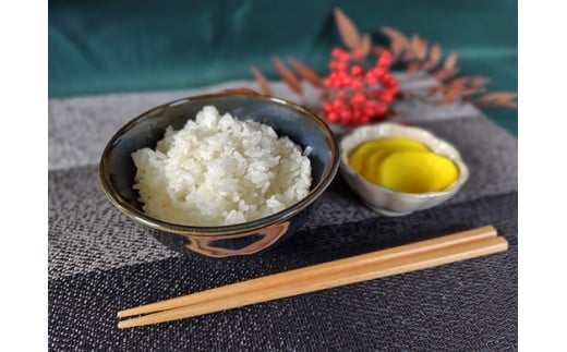【7年産】近江米 環境こだわり米 コシヒカリ 無洗米【5kg×1
