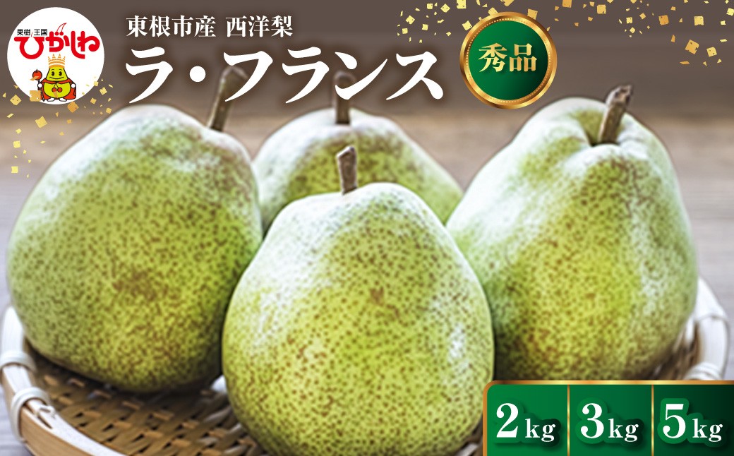 
                  ≪選べる内容量≫ 【2026年産】 西洋梨 ラフランス 【2kg・3kg・5kg】 山形県 東根市 安達農園提供 hi037-016-r8-o フルーツ 果物 くだもの クダモノ ラ・フランス 洋なし 洋ナシ 特産品 グルメ 旬 東北
                