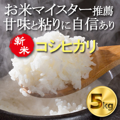 【令和7年産】千葉県産コシヒカリ 精米5kg お米マイスター厳選/推奨 甘味と粘りに自信あり
