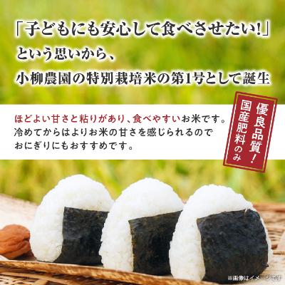 ふるさと納税 中野市 小柳農園の特別栽培米コシヒカリ15kg(5kg×3) |  | 01