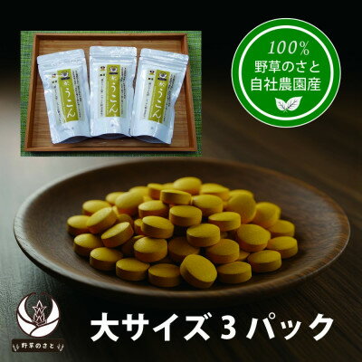 【ふるさと納税】秋うこん 600粒×3パック【1670280】