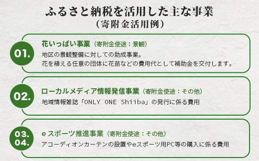 ふるさと納税を活用した主な事業（寄付金活用例）