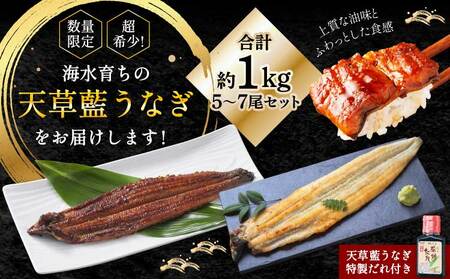  【ミシュラン1つ星店 採用】うなぎ 数量限定!! 海水育ちの天草藍うなぎ 超特大 紅白 5～7尾 セット【合計約1kg】 天草藍うなぎ 天草うなぎ 国産うなぎ 熊本県産うなぎ