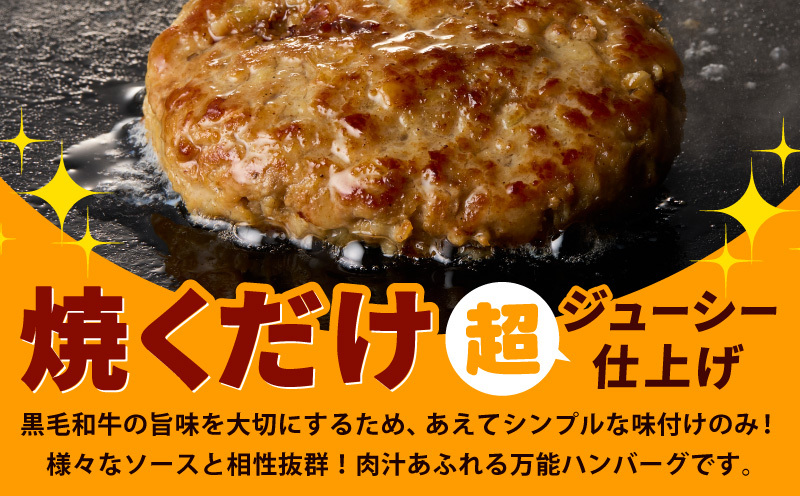 【黒毛和牛入り】特大ハンバーグ 200g×20個【BIGサイズ ハンバーグ 小分け 惣菜 冷凍 牛肉 豚肉 はんばーぐ 一人暮らし 数量限定】 CFX0024_イメージ3