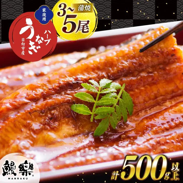 うなぎ 国産 蒲焼 3～5尾 計500g以上 鰻 [452061755]