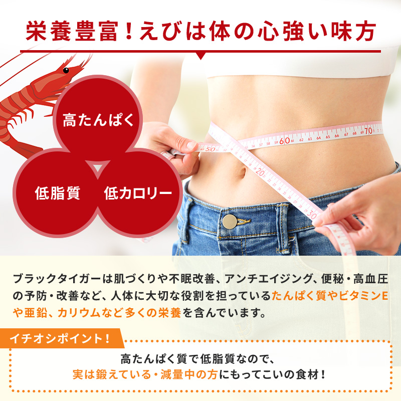 越前若狭食宝庫の高級むきえび【ブラックタイガー冷凍むきエビ】お試しサイズ 1袋 約300g/約18～25尾