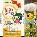 【ふるさと納税】【新米】【令和6年産】茨城県産コシヒカリ10kg（5kg×2袋）精米JA茨城むつみ_CL05