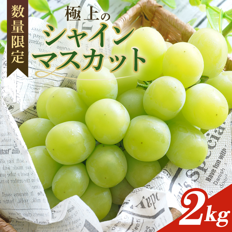 ＜2025年 先行予約＞ シャインマスカット 数量限定 2kg【8月25日以降発送予定】 70-J