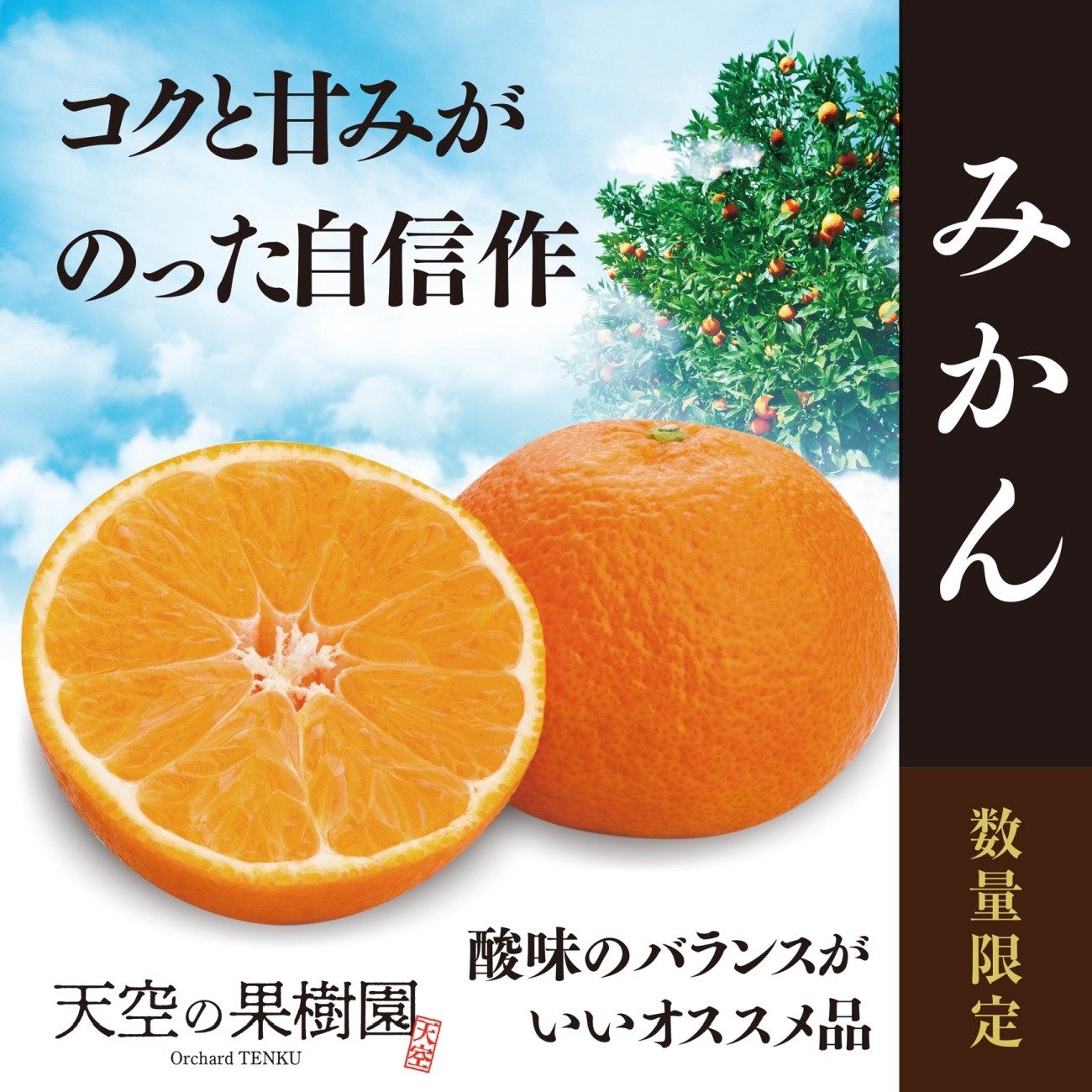 
                  【先行受付】天空の果樹園から届くそらみかん (4.5kg)＞【95-18】【1758583】 YWTAQ015
                