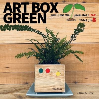 ふるさと納税 赤磐市 インテリア ART BOX GREEN / 001(〇) アートボックス[NO5765-1125]