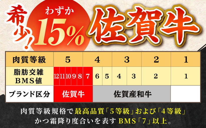 【全6回定期便】4人家族向け 佐賀牛 普段使いセットA【田中畜産牛肉店】 [HBH036]