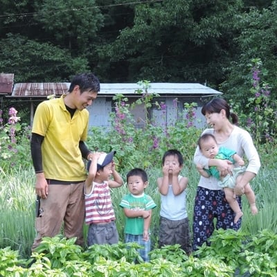 【能勢特産】自然豊かな里山の恵みがつまった農家の手づくり ジャム・ピクルス・ハーブティーのセットA | べじたぶるぱーく株式会社