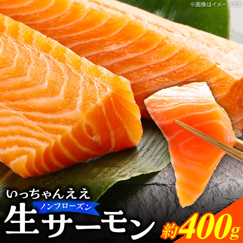 いっちゃんええ【ノンフローズン】生サーモン 全て手作業 約400g_FJ1000