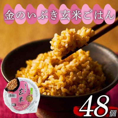 ふるさと納税 松原市 金のいぶき玄米ごはん 160g×48個