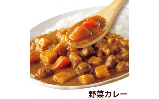 【定期便6回】ココイチ カレーCセット （ビーフ・ポーク・甘口・野菜・キーマ 各2個） (毎月お届け）｜カレー CoCo壱番屋 常温保存 非常食 簡単 時短 自宅用 キャンプ  ふるさと納税