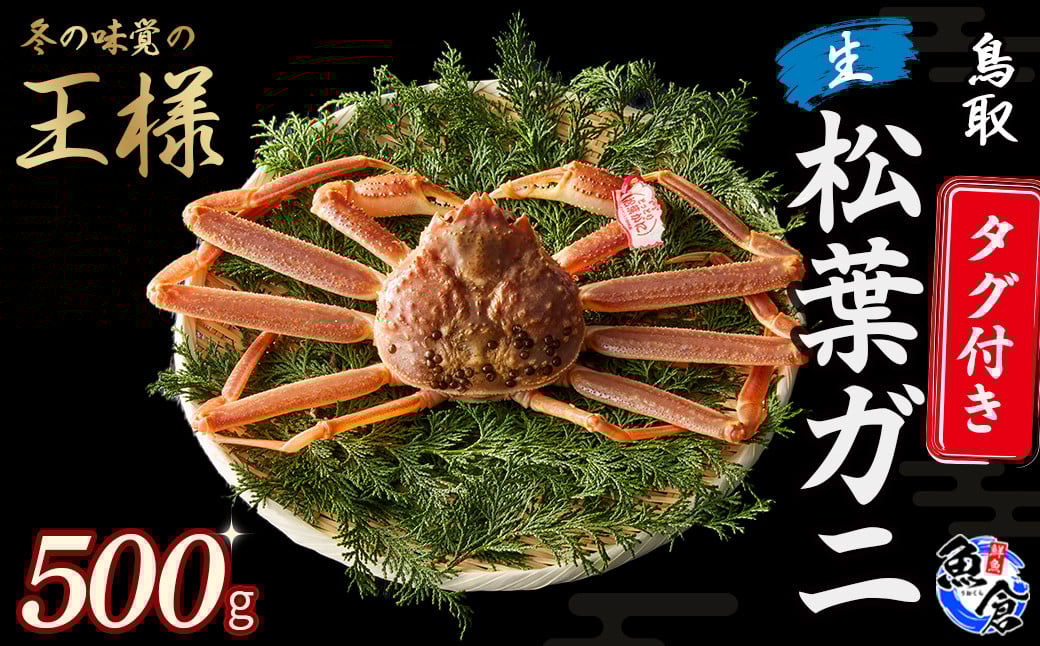 
                  【先行予約】【魚倉】タグ付き生松葉ガニ（500g） 松葉ガニ カニ ズワイガニ カニ爪 タグ付き 冷蔵 かにしゃぶ カニ刺身 ずわいがに 生 鮮度抜群 期間限定 限定価格 限定寄付額 鳥取県 倉吉市
                