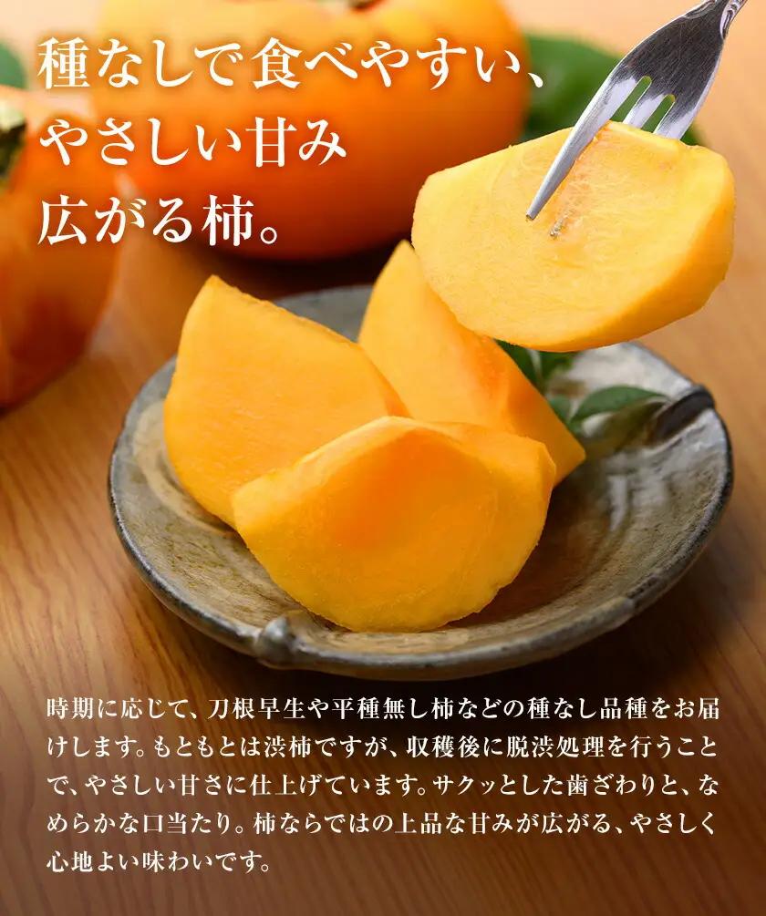 たねなし柿 秀品 9kg 農業福祉研究機構《9月上旬-11月上旬頃出荷》