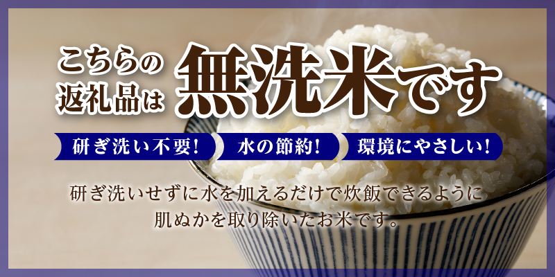 【定期便(5kg×12カ月)】【無洗米】令和6年産北海道産ななつぼし【滝川市産】 | 米 お米 精米 ブランド米 コメ ごはん ご飯 白米 無洗米 ななつぼし 特A お米マイスター北海道米 毎月お届け