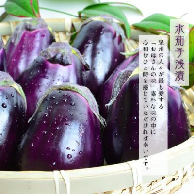 ふるさと納税 岸和田市 贈り物に　極上「名峰」シャインマスカット1房と極上「名泉」泉州水なすぬか漬け5個 計2.5kg |  | 02