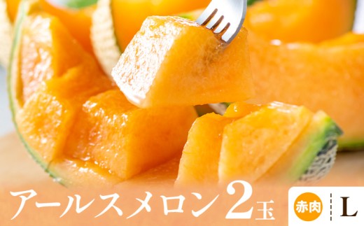 アールスメロン 赤肉 Lサイズ 2玉 石下農園 《10月中旬-11月上旬頃出荷予定》栃木県 芳賀町 果物 フルーツ メロン 国産 ギフト 贈答 【配送不可地域あり】(沖縄・離島)