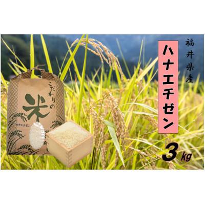 ふるさと納税 越前町 令和8年産　ハナエチゼン(精米)　3kg