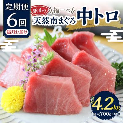 ふるさと納税 焼津市 訳あり【定期便 6回隔月でお届け】南鮪・刺身・中トロ(約700g)(a60-021) |  | 01